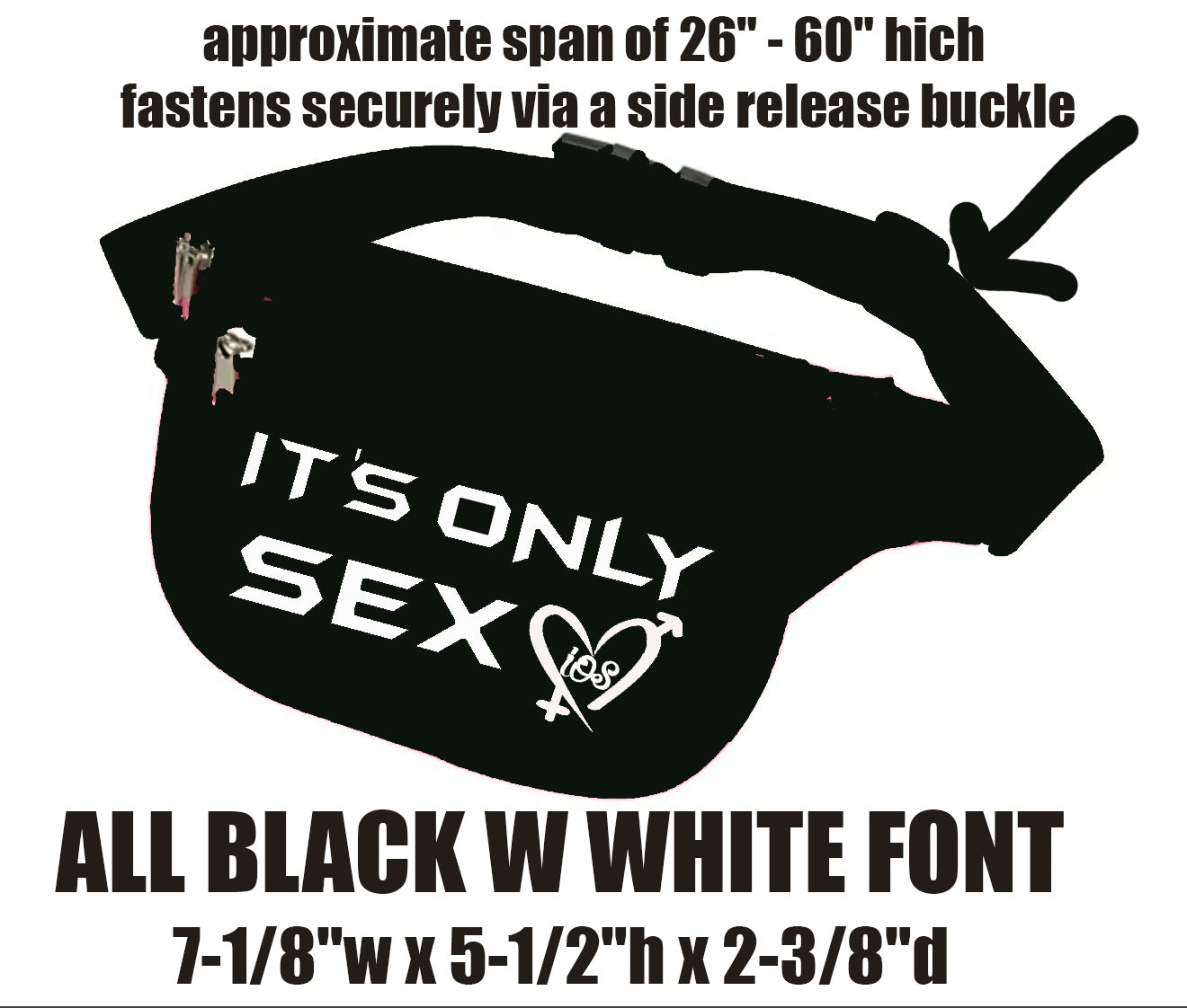 BLACK IT'S ONLY SEXY & DIRTY PERV HEAVY DUTY FANNY PACK
